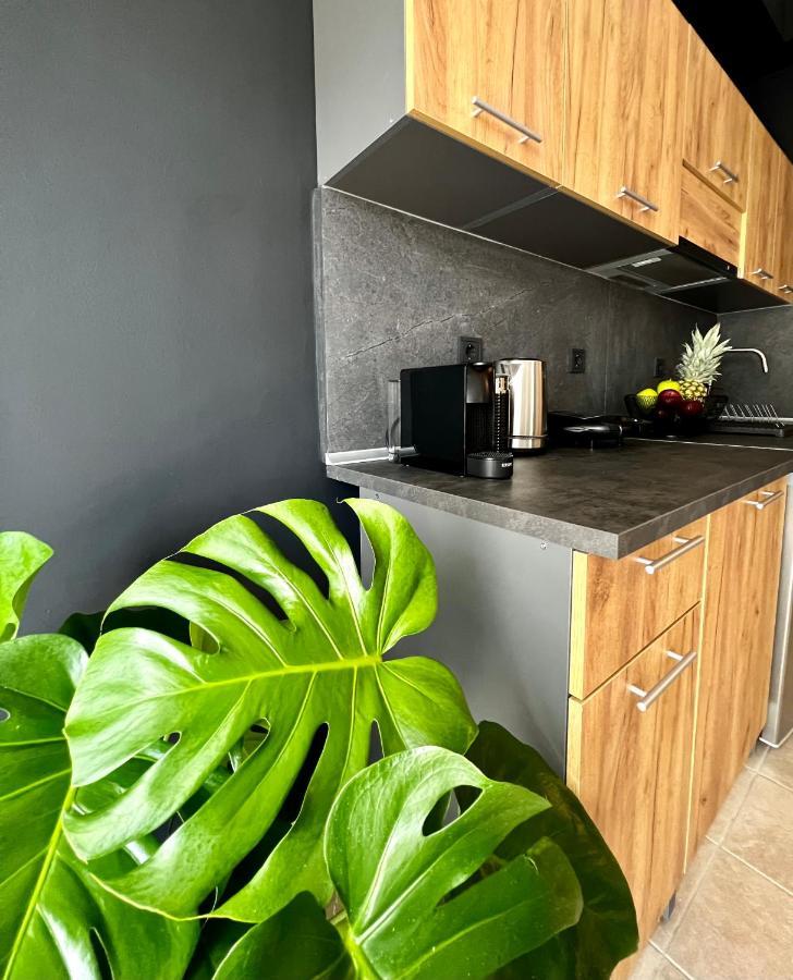 Downtown Apartments Rhodes City Εξωτερικό φωτογραφία